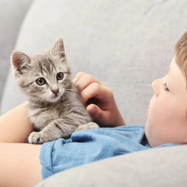 117475656_122132462637435_410160528260359449_n_11zon